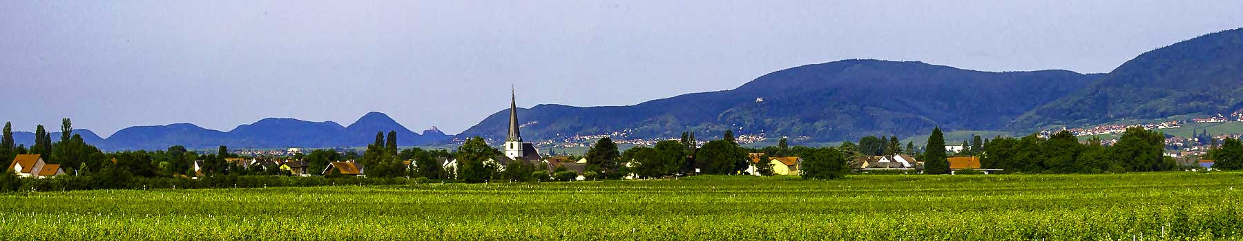 Gemeinde Venningen